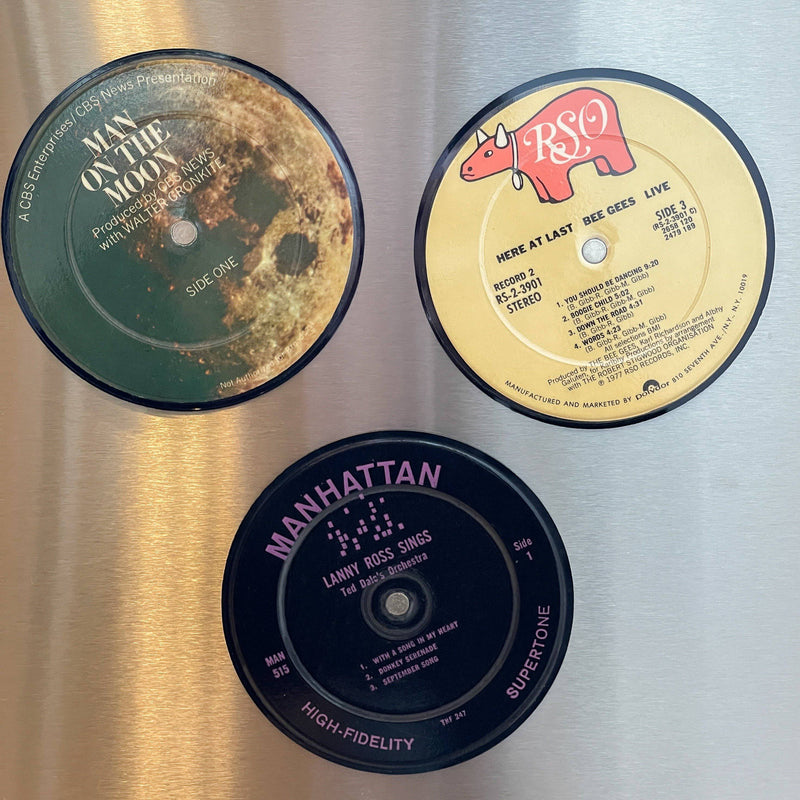 Vinyl Record Magnets - Sootheandsage.com